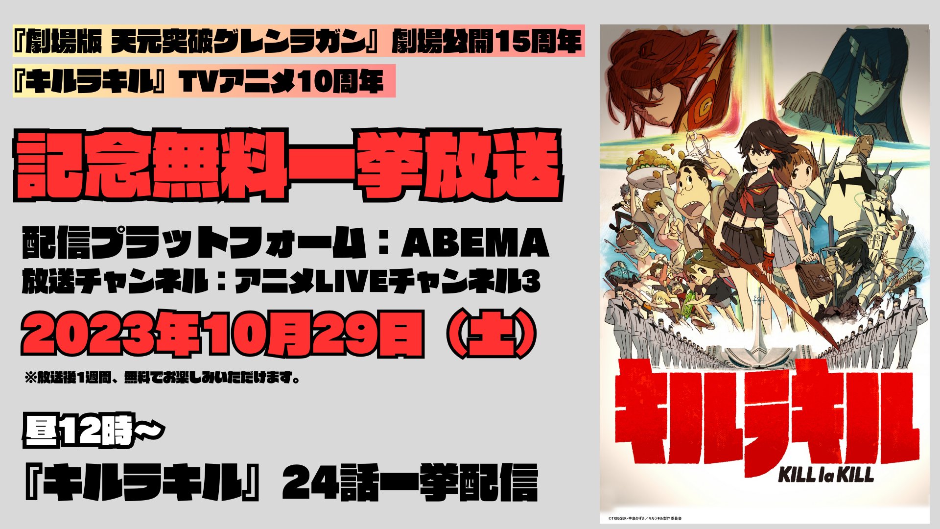 キルラキル 生動画パッケージ RAW IN-BETWEEN③ キルラキル 生動画