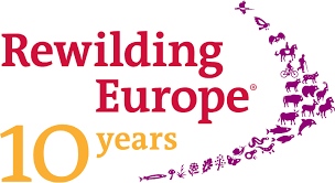 Wild Ennerdale is a member of the European Rewilding Network which celebrates its 10th Anniversary this month. Check out this great video which celebrates the last 10 years by sharing some inspiring stories from across the network. youtu.be/tAXB6Qzv3G8?si…
