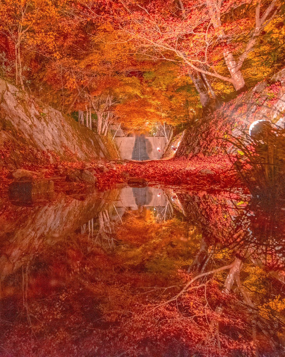 水面に映り込む紅葉も美しかった