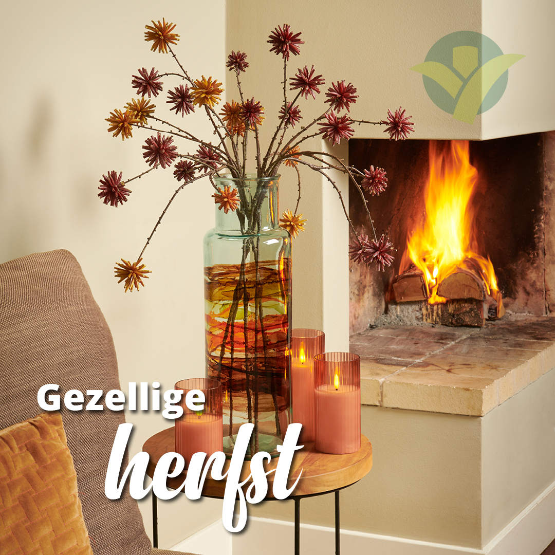 De herfst is weer heerlijk binnengetrokken in ons land. Naast prachtige kamerplanten hebben we ook diverse andere sfeermakers om jouw ‘herfst-huis’ helemaal af te maken. Weten welke vestiging bij jou in de buurt open is? Check ow.ly/LJIY50PXwOU

#Gezellig #Herfst #GroenRijk
