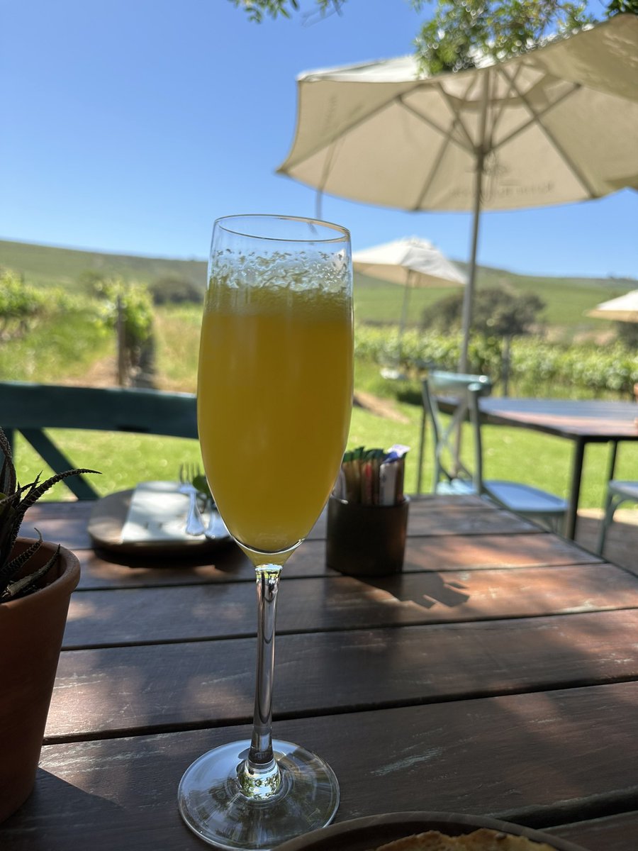Breakfast in the vineyards  🍇