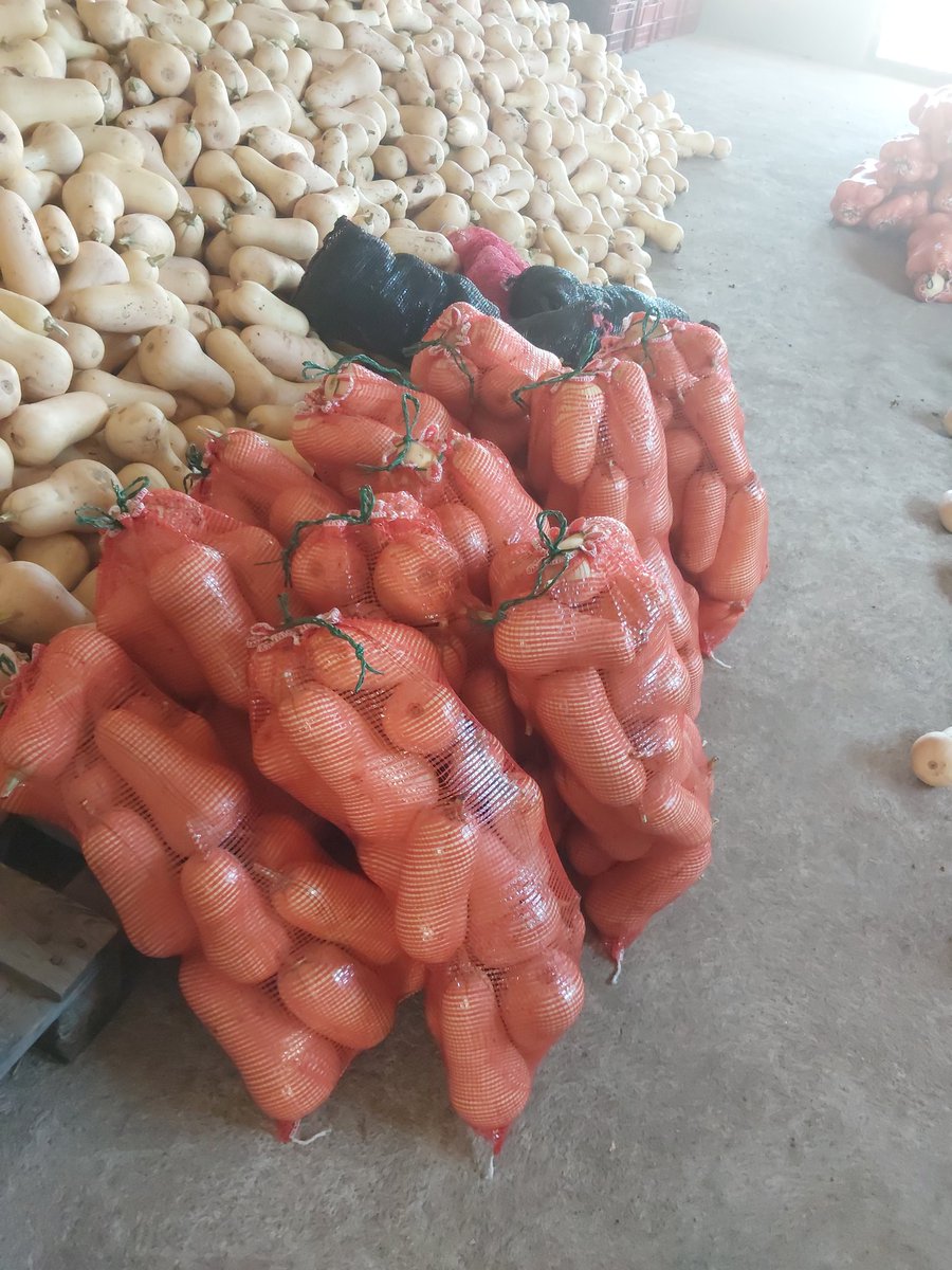 Muzzymzie09's tweet photo. Bulk butternut available https://t.co/LOx9qGMPmu