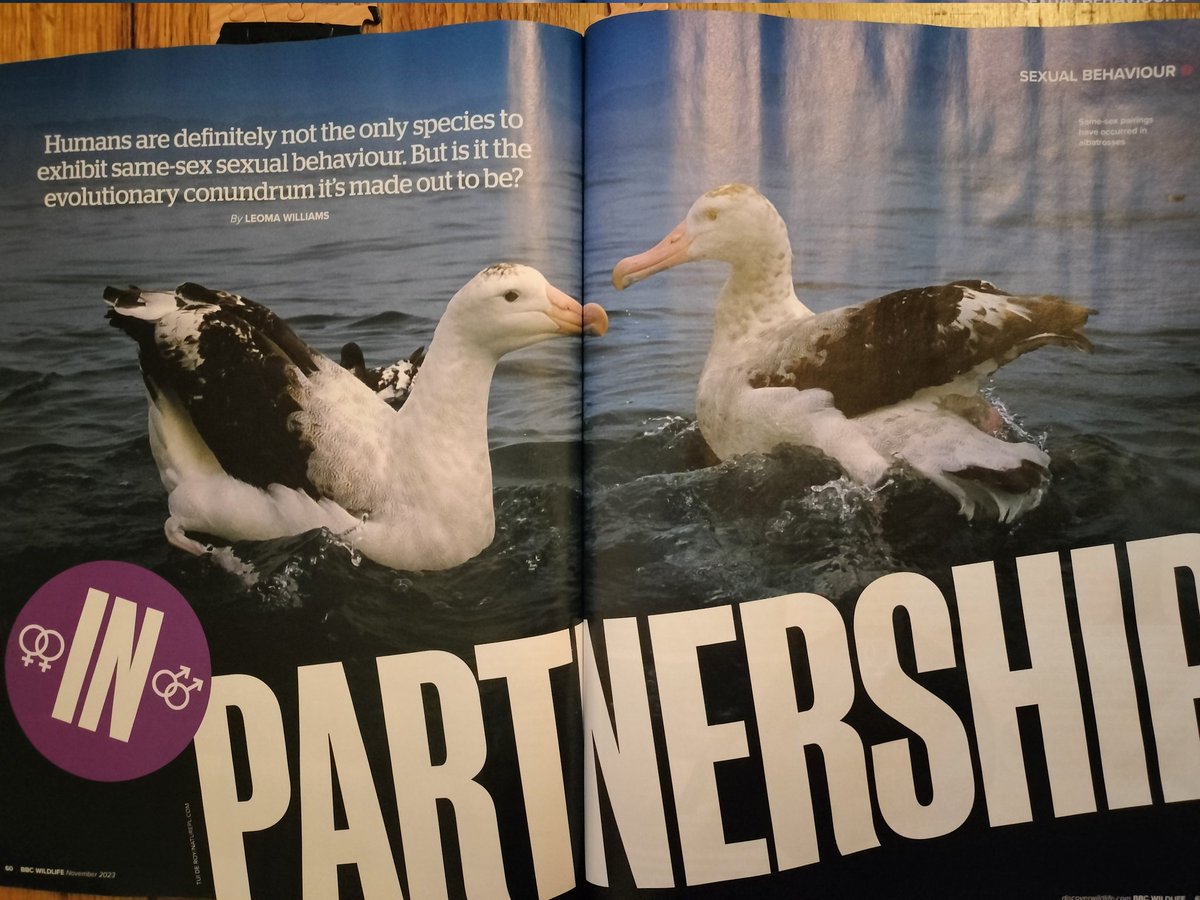 Look out for my newest feature in this month's BBC Wildlife Magazine where I'm talking about same-sex sexual behaviors in animals! (As well as the naturalistic fallacy and why we don't actually need to see things in nature to embrace it in humans) <a href="/WildlifeMag/">BBC Wildlife</a> 🌈