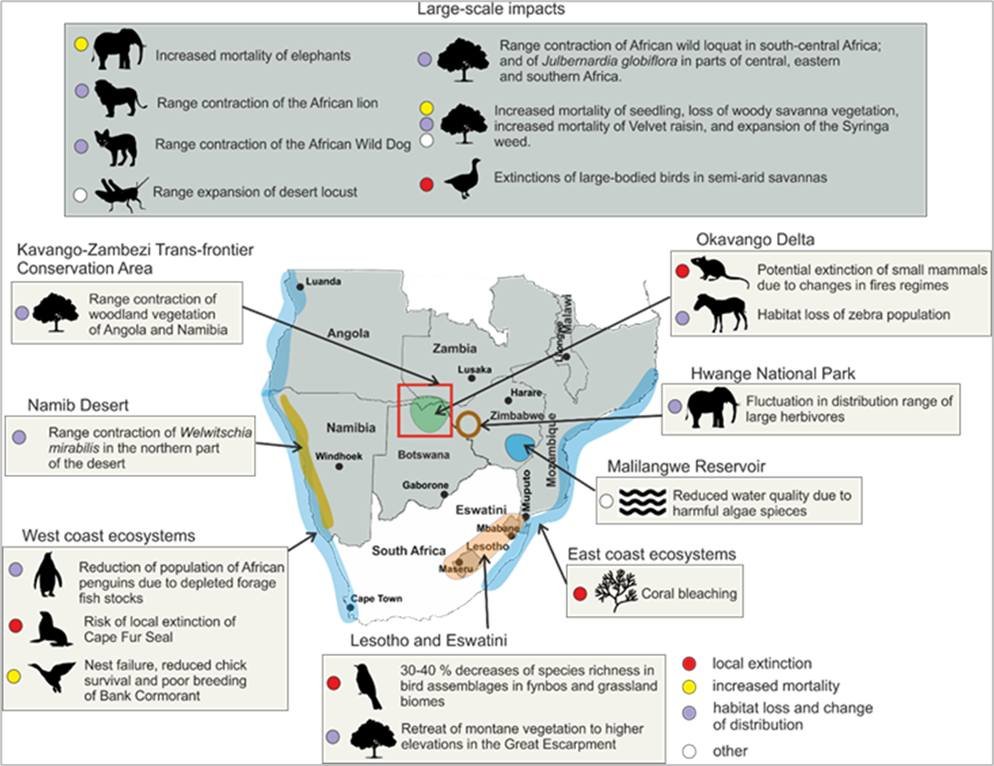 Tomáš Hlásny tweet media