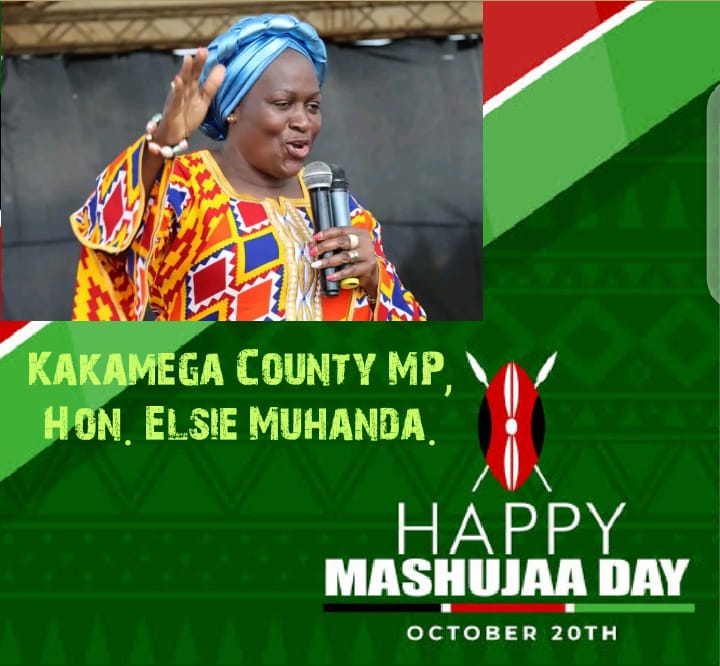 Elsie Muhanda, MP tweet media