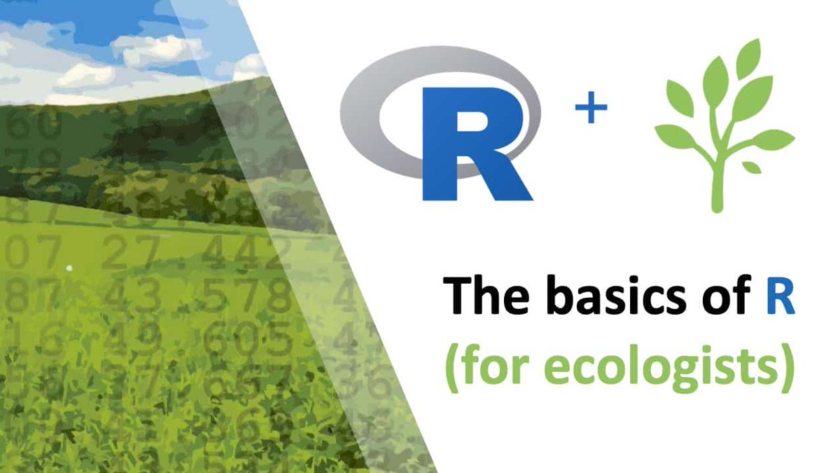 Important announcement 🚨 🌻 Enrollment for my Basics of R (for ecologists) course is opening in a few days, but this will be the LAST TIME (for a while) that I'll be admitting new students into the course. If you've needed to learn R for ecology (and related fields) in an