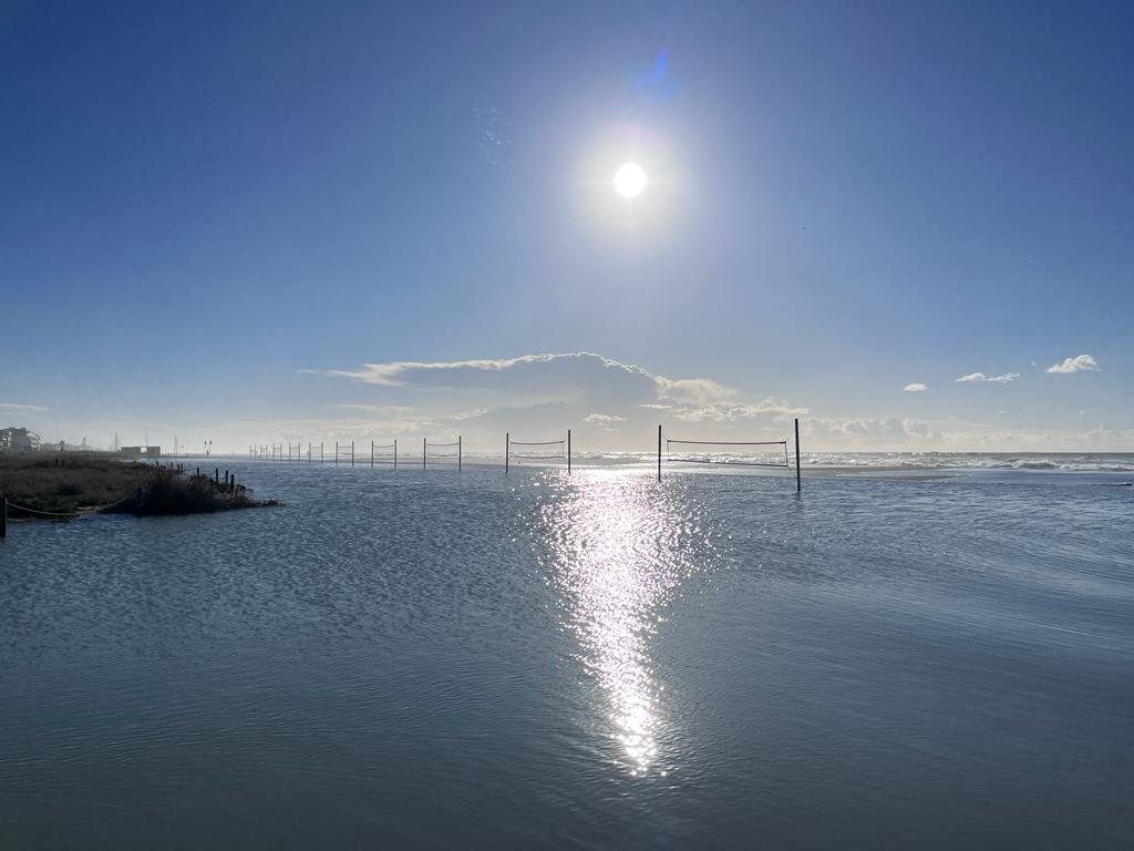 Salvem l'Olla del Rei tweet media