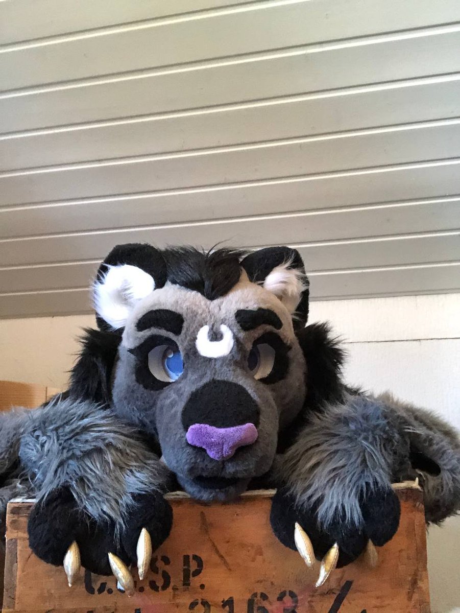 FluffySnep tweet media