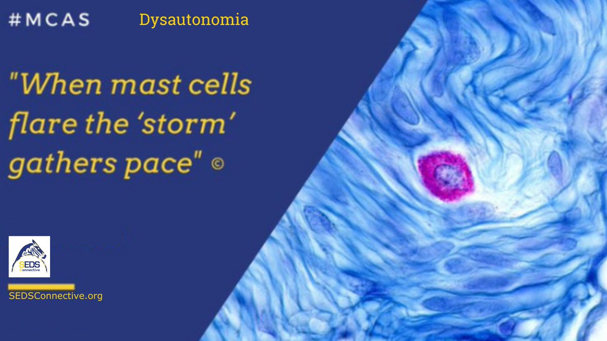 #MCAS #MastCellAwarenessDay  #Dysautonomia #symptomaticHypermobility

ODE TO A MAST CELL

Cytokine storm rages, histamine release
Multi biological reactions that never cease
Swelling, blisters, itching, redness and pain