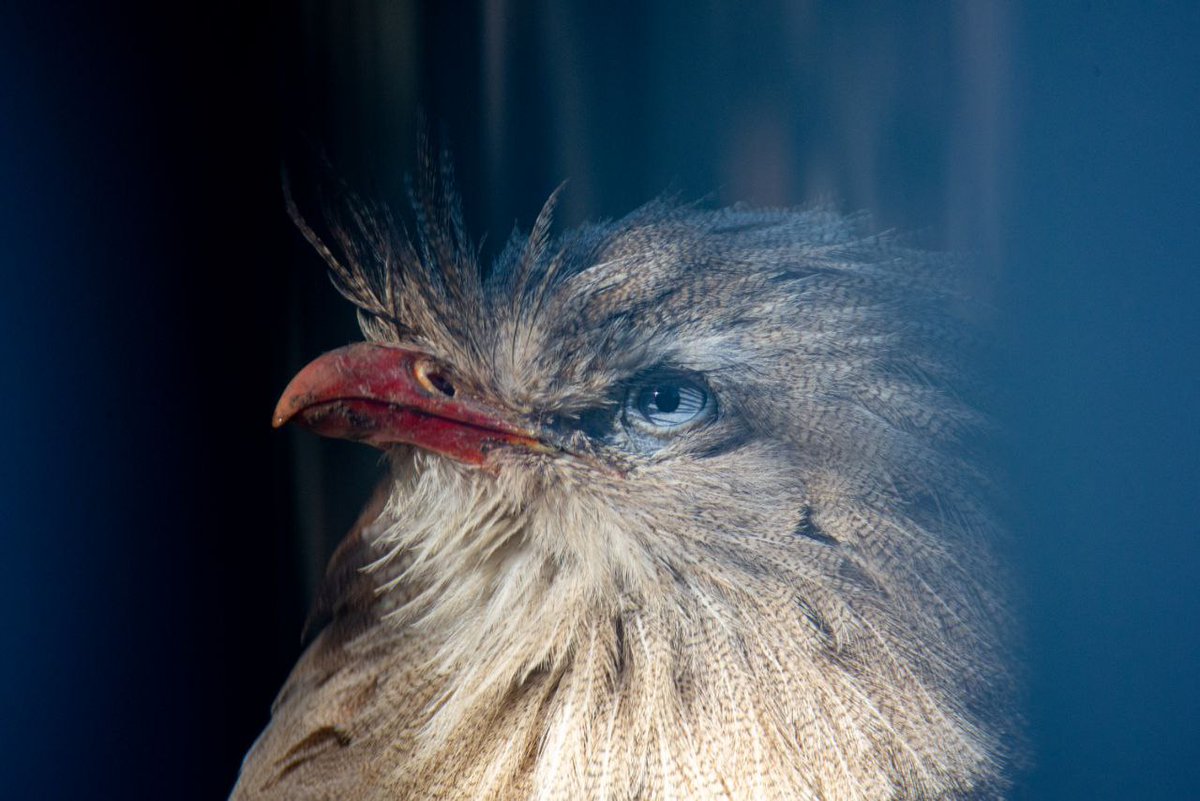 Livinteresting tweet media