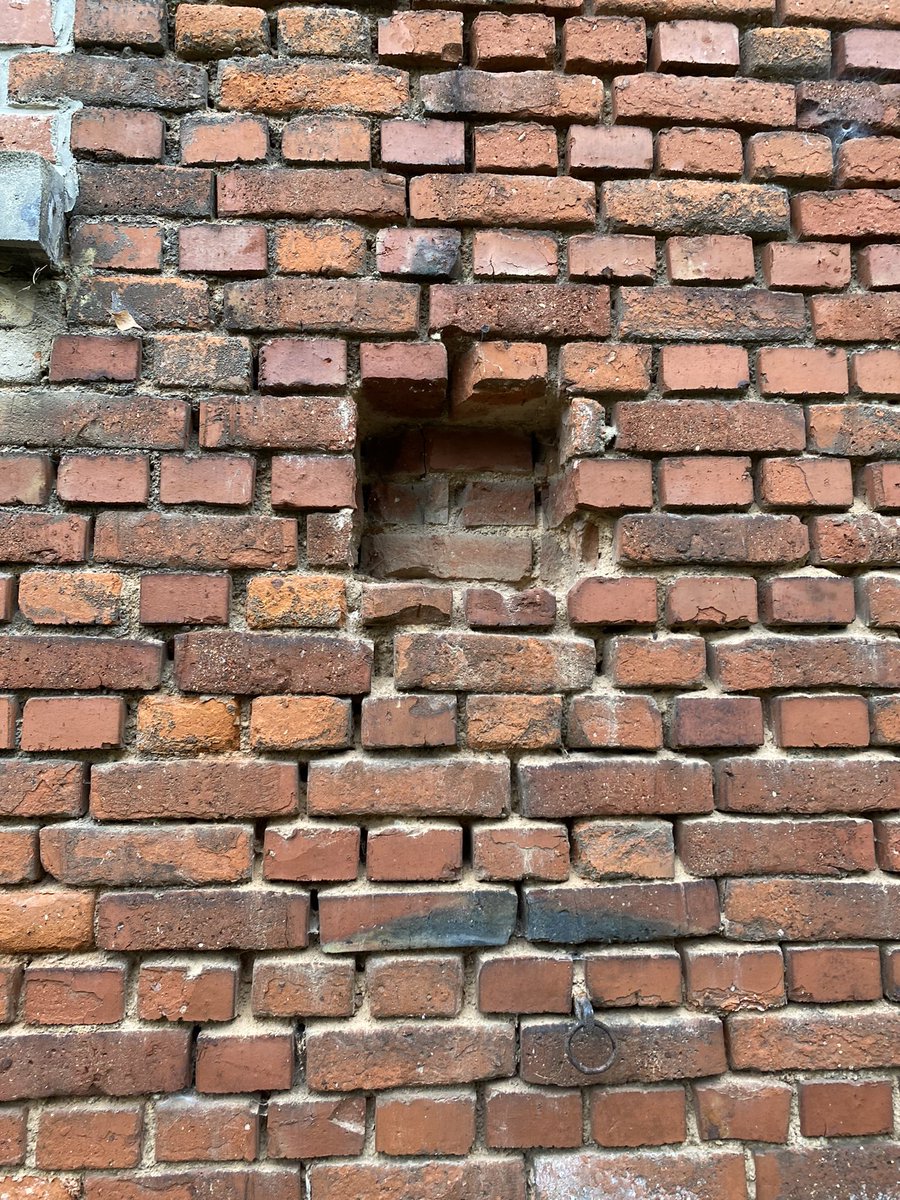 Brigitt01214804's tweet photo. Man hat meine kleine Steineule gestohlen! Sie stand hier als Wächter seit vielleicht 30 Jahren……. Und das ist nicht an der Strasse! 🥵🥵🥵🥵🥵 https://t.co/oqgaPDtxgc