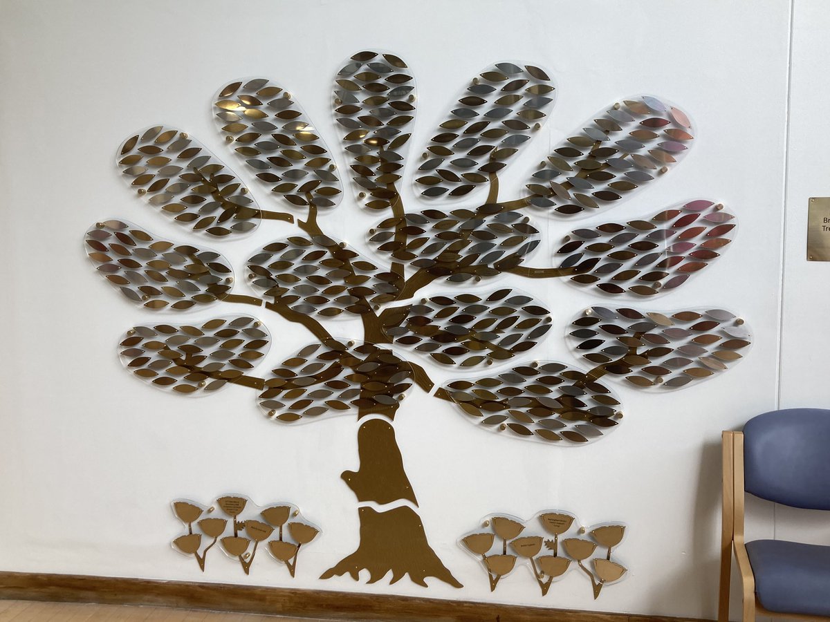 _ClareProctor's tweet image. Fabulous evening with donors, staff and a gospel choir at the Nottingham Breast Institute last night to unveil the beautiful Tree of Courage funded by Nottingham Hospitals’ Charity. 🩷@TeamCAS3 @Simondroe @TeamNUH @NUHCharity