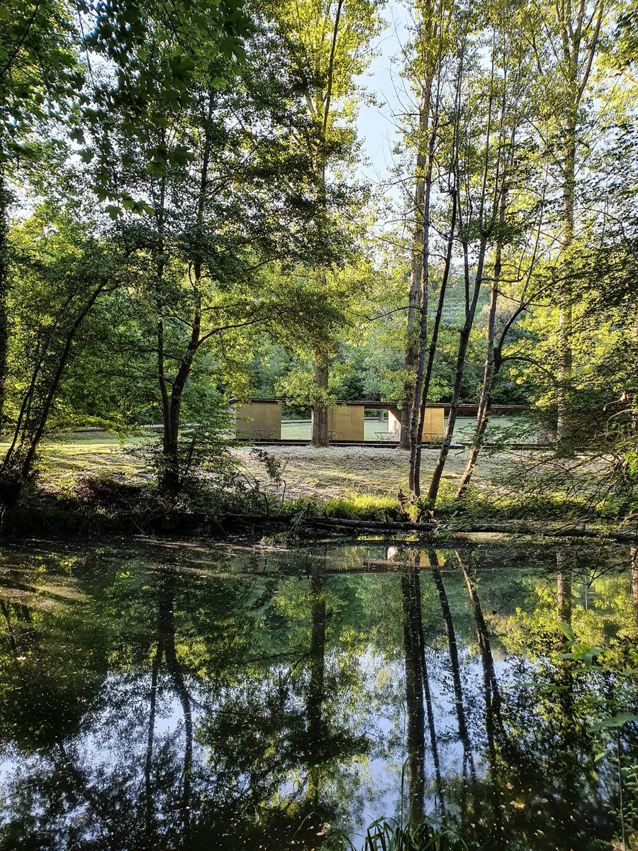 Viles Florides tweet media