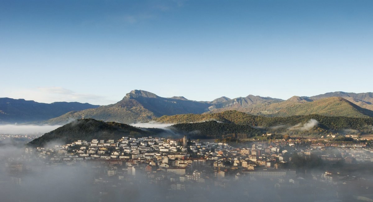 Viles Florides tweet media