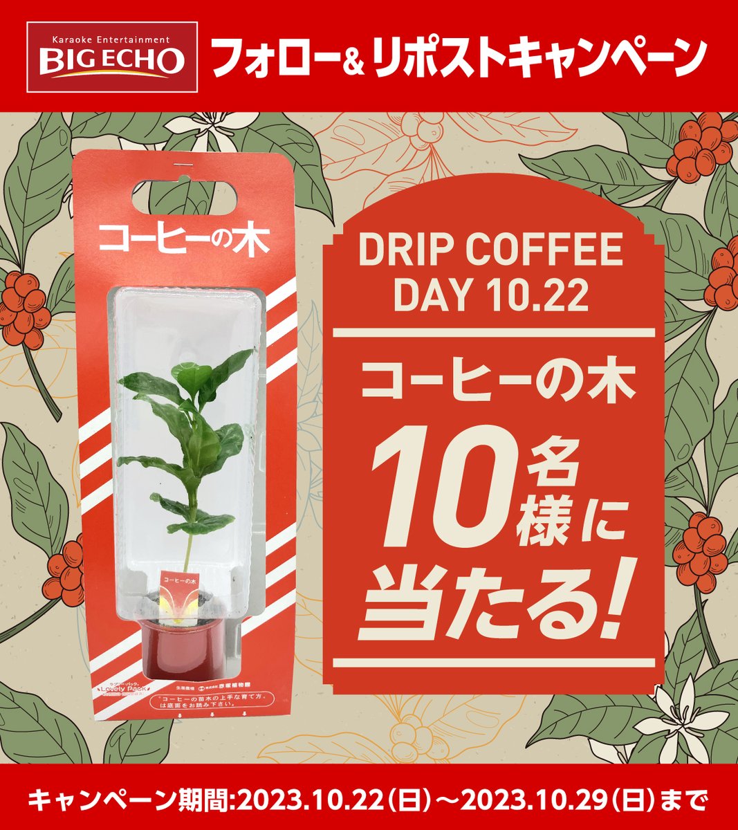 bigecho_jp's tweet photo. ／
#ドリップコーヒーの日 を記念して
コーヒーの木 1⃣0⃣名様に当たる✨
＼

応募方法
1️⃣@bigecho_jpをフォロー
2️⃣10/29までに本投稿をリポスト
※当選者に後日DM

コーヒーの木の花言葉は「一緒に休みましょう」です。仕事や家事で忙しくされている方には、癒される花言葉ですね。

#観葉植物 #懸賞 https://t.co/1VI0m3F8Er