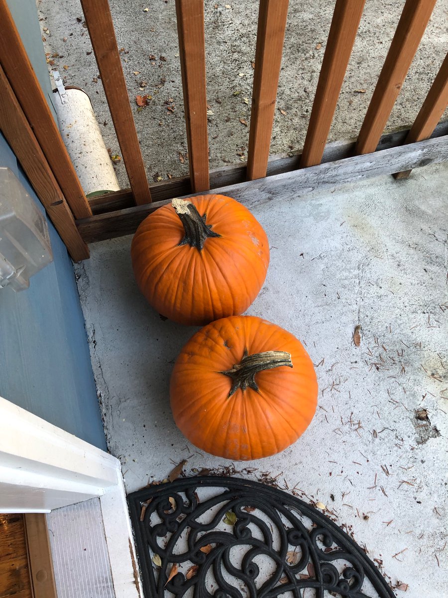 notFunnyLaura's tweet photo. @DoorDash_Help $108 for 2 pumpkins? Nice try Satan. https://t.co/fkFP3lljDr