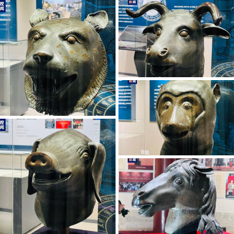 PDChina's tweet photo. Five bronze head sculptures, the iconic treasures of the Old Summer Palace, reunited for the first time in the Palace after being looted by Anglo-French allied forces 163 years ago. An exhibition featuring the sculptures will run till Oct 29. #Yuanmingyuan #CulturalHeritage https://t.co/ZXEB7bDSbf