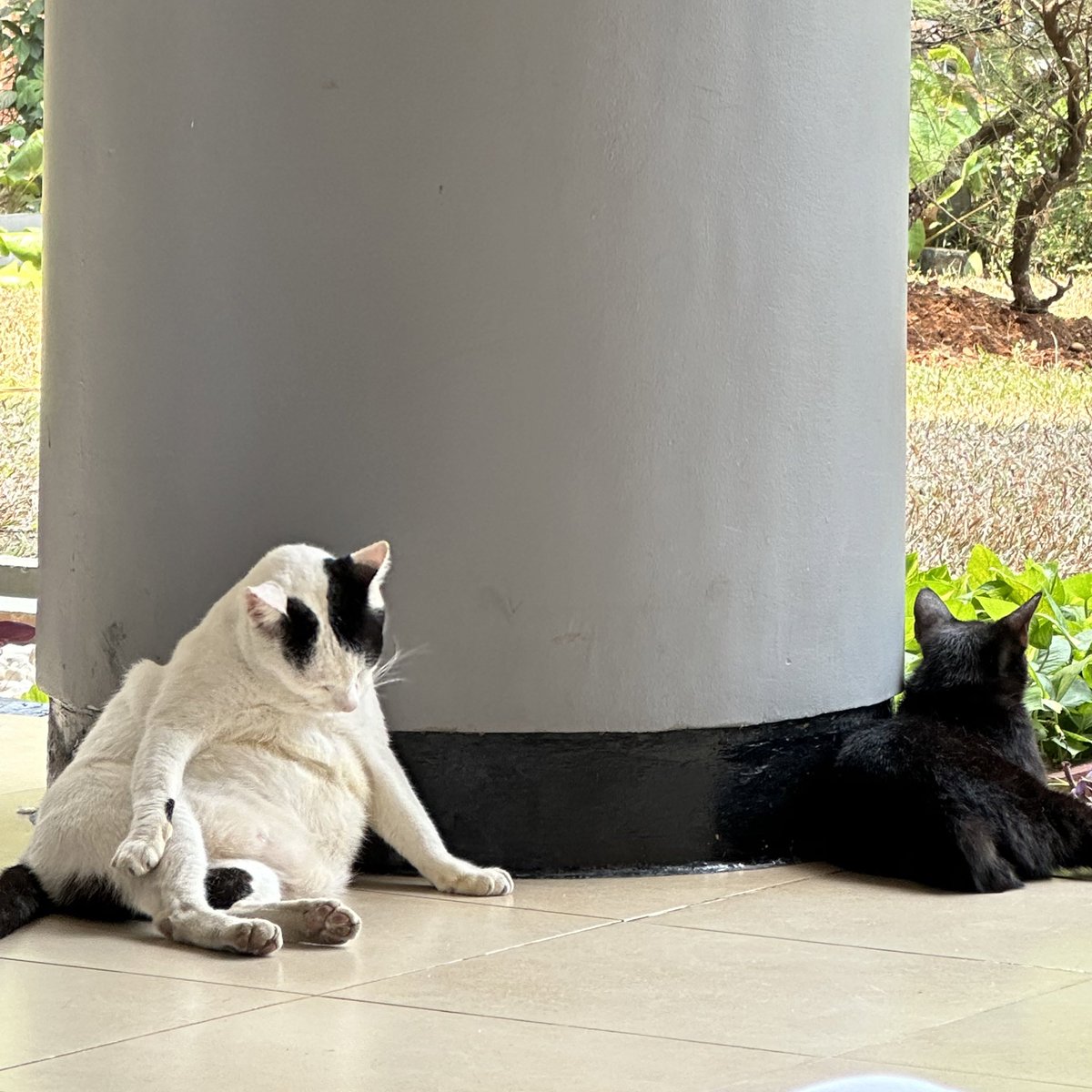 xavierarchs's tweet image. life as anak akuntansi di feb ui 🤗🤗🤗🤗