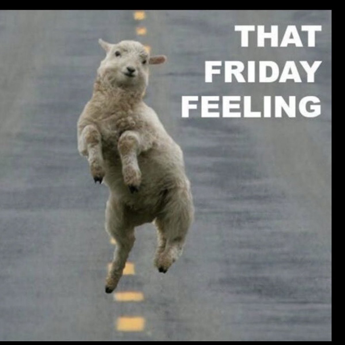 asandra001's tweet photo. Good morning all😀… usprkos teskoj juzini ipak je #fridayfinally https://t.co/ZqO1E9YFzG