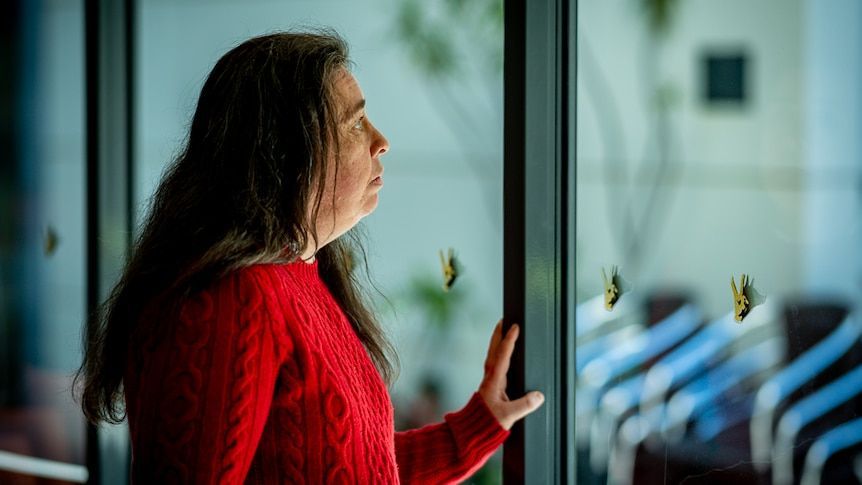 NNPlus's tweet photo. New centre gives people with disability a voice in healthcare https://t.co/yWfHrciGC5 https://t.co/goqXNt7bfL