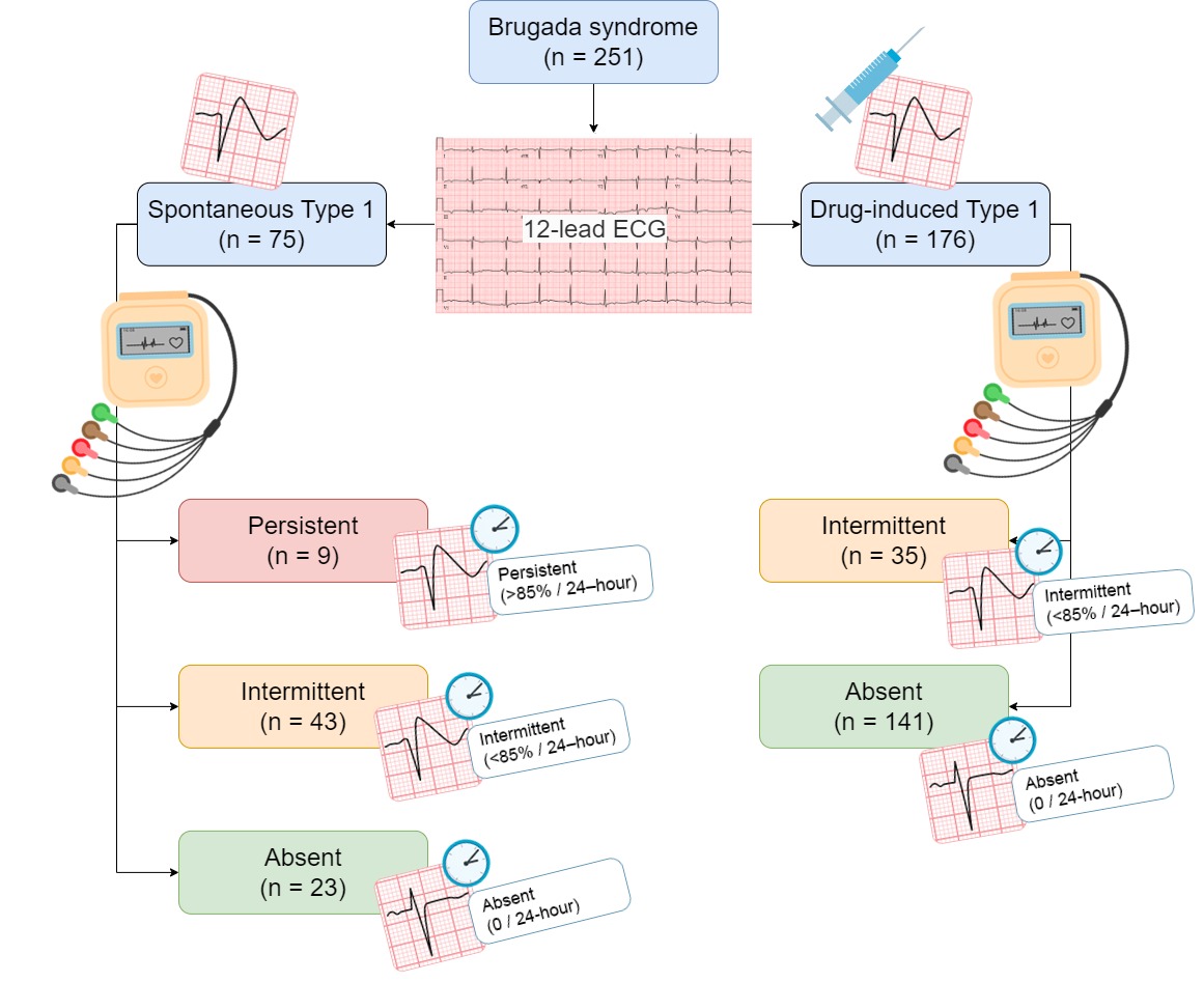 #EPeeps interesting study  on daily fluctuations of #BrECG using ECG Holter monitoring in patients with #BrugadaSyndrome. #infographic by #epCINRE.
epcinre.sk/en/daily-fluct…
#CardioEd #fellowsfirst #Cardiotwitter