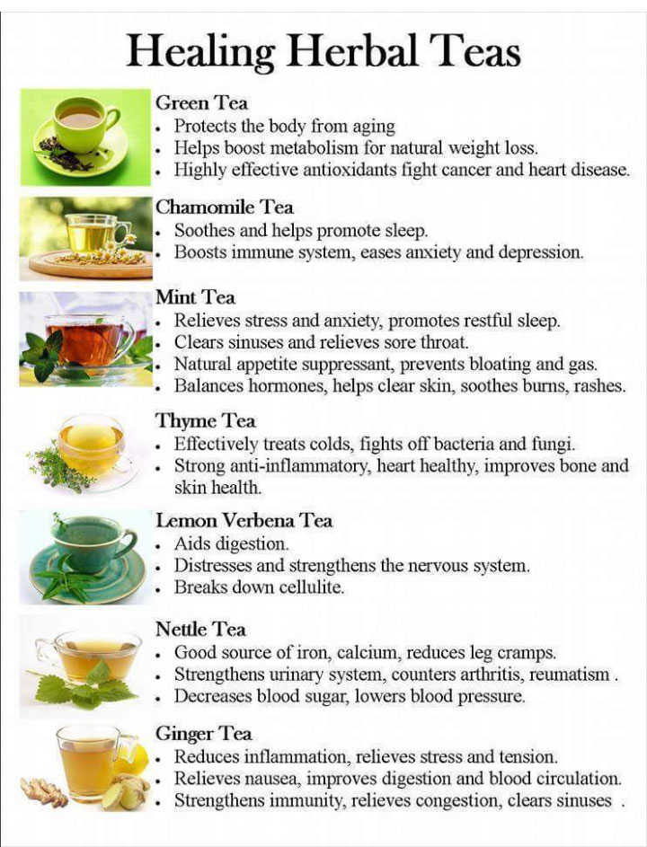 OrganicLiveFood's tweet photo. Top 10 healing Herbal teas and their health benefits  🫖 

https://t.co/lPYTVnLmYO 

#herbs #tea https://t.co/AFxrmYhdoL