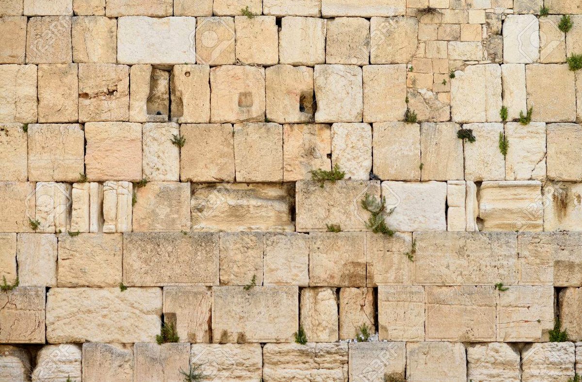 "El pueblo judío es un pueblo asqueroso"
Para la reflexión.
bitacoraeduardo.com/el-pueblo-judi…

#Israel #Palestina #Sionismo #antisemitismo