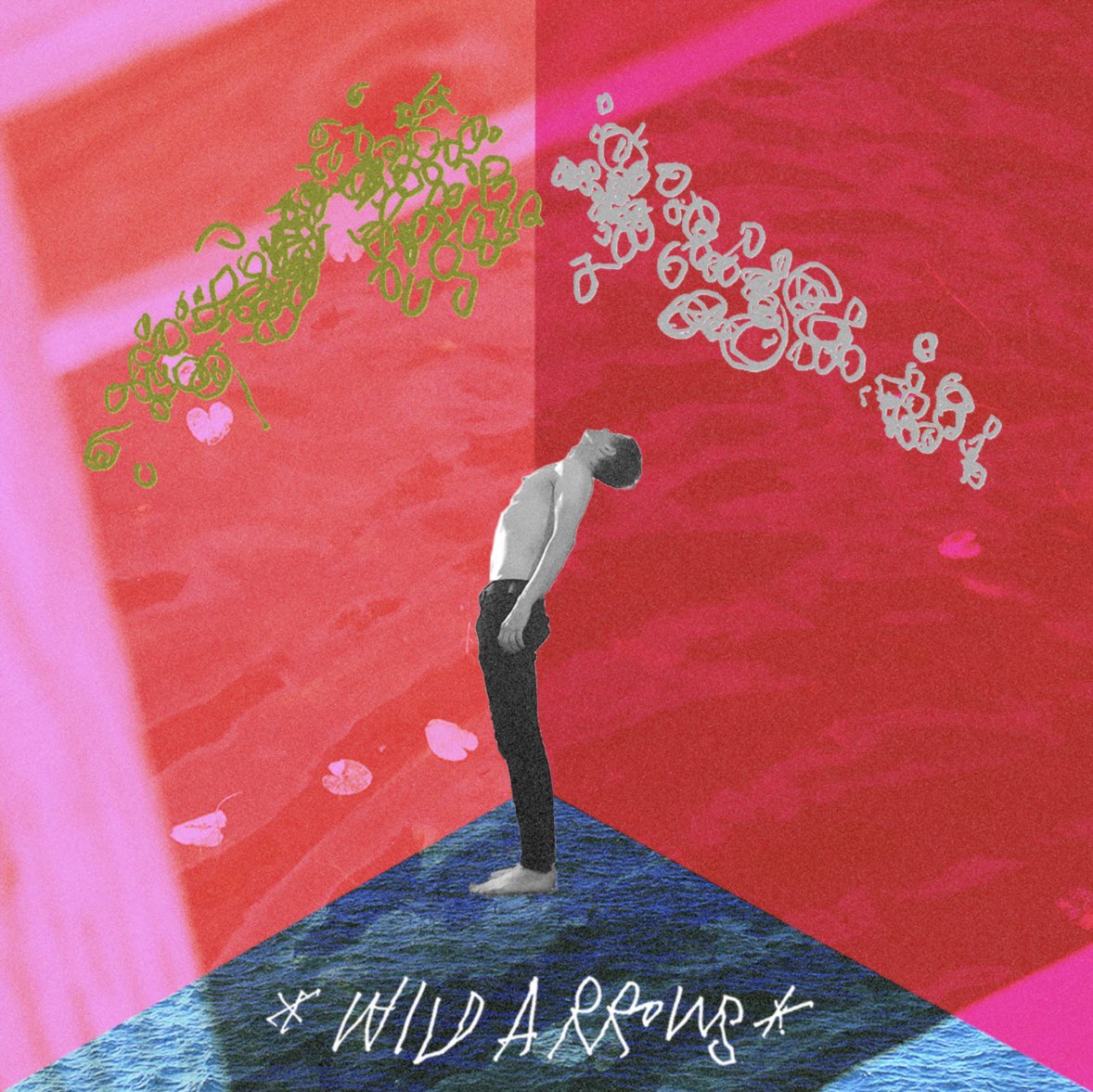 Wild Arrows tweet media