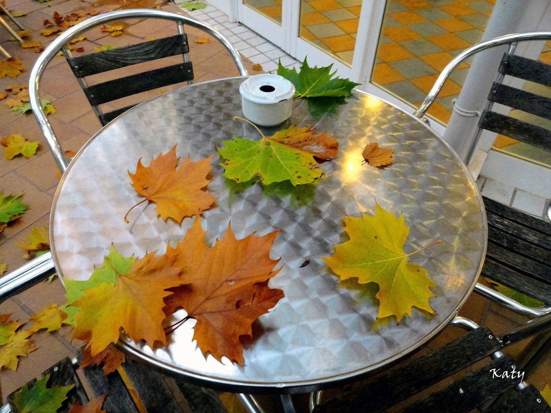KatySnchez's tweet photo. Ya poco nos queda de disfrutar de las terrazas al aire libre. La caída de la hoja deja estas bellas estampas otoñales #otoño #hojas #ocres #hacerfotos https://t.co/KRU52oRn6j