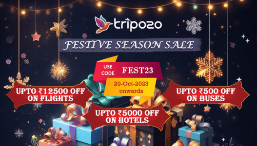 Tripozo (formerly etrain.info) tweet media