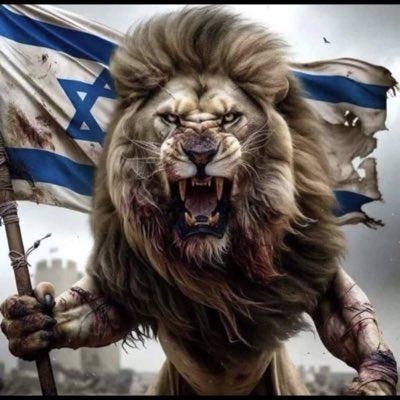 didbou's tweet image. #NouvellePhotoDeProfil