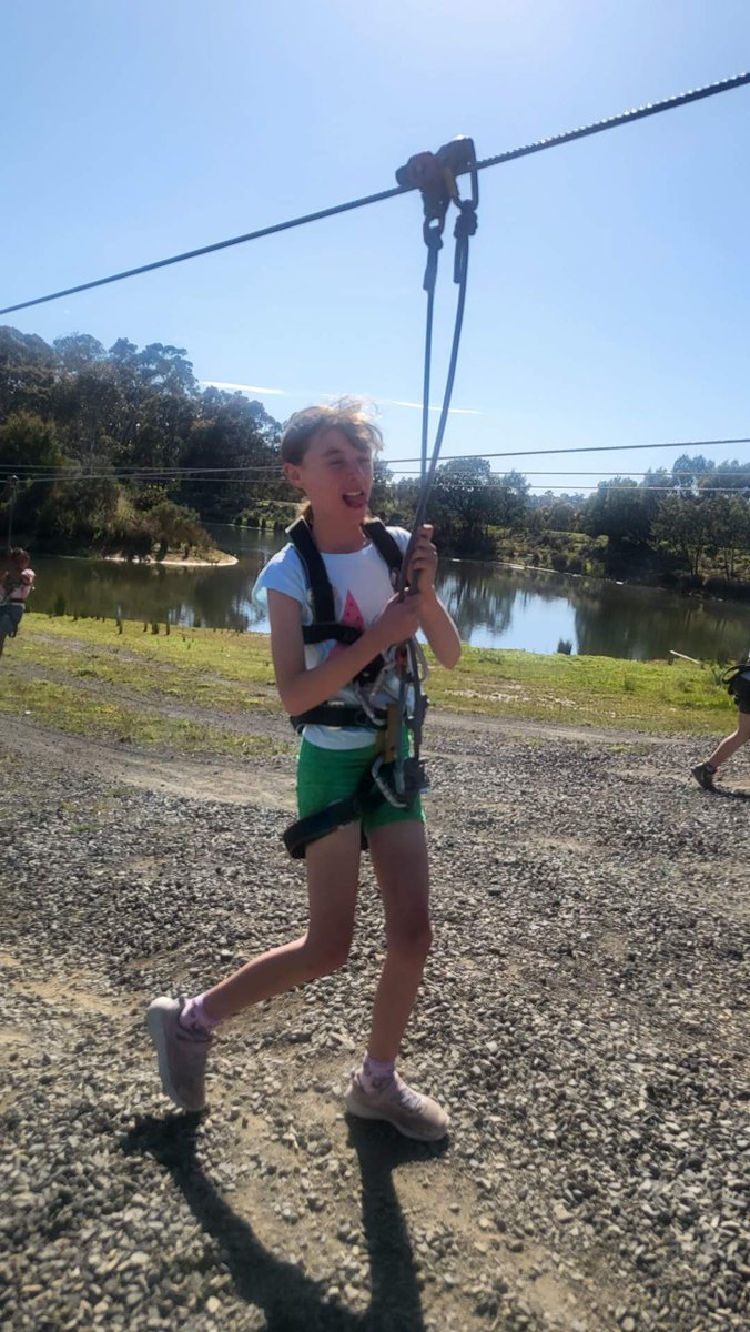 St Bridget's Primary School tweet media