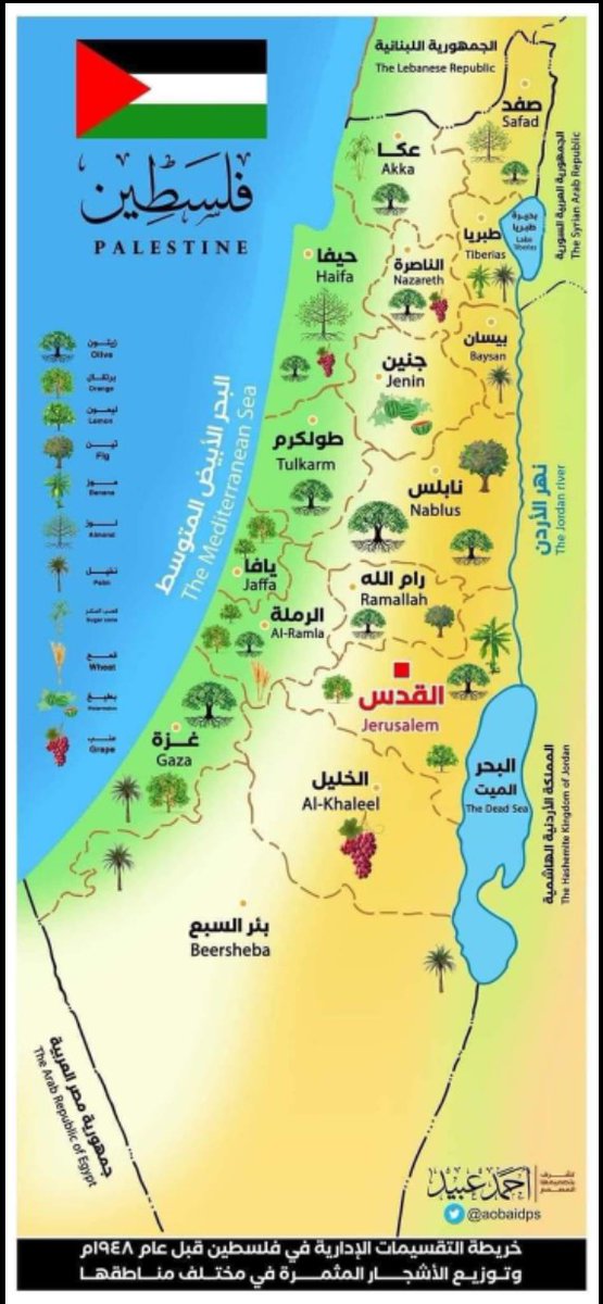 سعيد بكران (@saeedbkran) on Twitter photo 