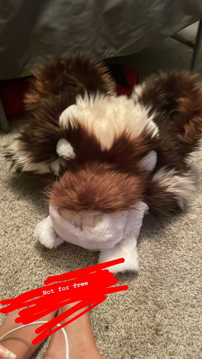 chervbtears's tweet photo. I haven’t had much time to really get into some cosplay or fursuiting, but I do have something in the works 
•
•
•
•
•
•
•
#fursuit #fursuiter #furry #furrycommunity #furrypride #fursuiting #furryfandom #fursuitmaker #fursuitmaking #furryart https://t.co/Wvik4zRkKo