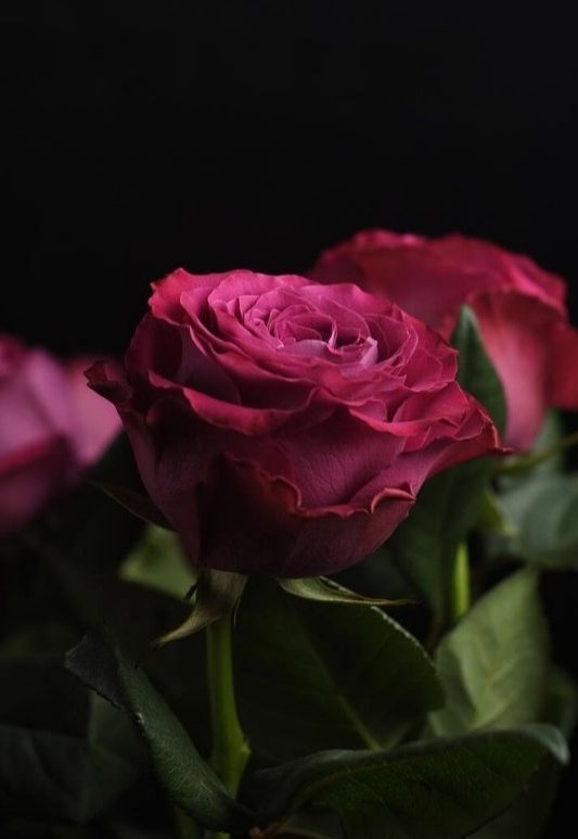 AnneEventsCo's tweet photo. @Rosampl2 @CROcultura1 @alma1630 @Mainiva1 @enilda25 @campanaubicua @mixpelirroja @sobrino_antonio @DelfinaMonfort @JCDAtrasto @margaquiros @SandraMridafer1 @RUBYELENA1 @Luu_lu @JCRadophoto Bon dรญa Rosa guapa ๐ y grupo ๐ฟ
#Lifelovers ๐พ๐ฃ๐ https://t.co/dJT5rbkaDU