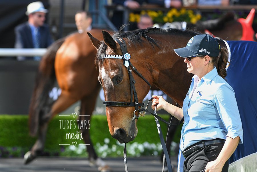 LisaGrimm9's tweet image. On #FlashbackFriday we’ll rewind ⏪ to #tabeverest day last week when dual winner of the race the mighty #REDZEL led the field out in the Theatre Of The Horse ! 
The first photo in the background is Think About It who went onto win the race !
Looking well big boy 👌🏼
