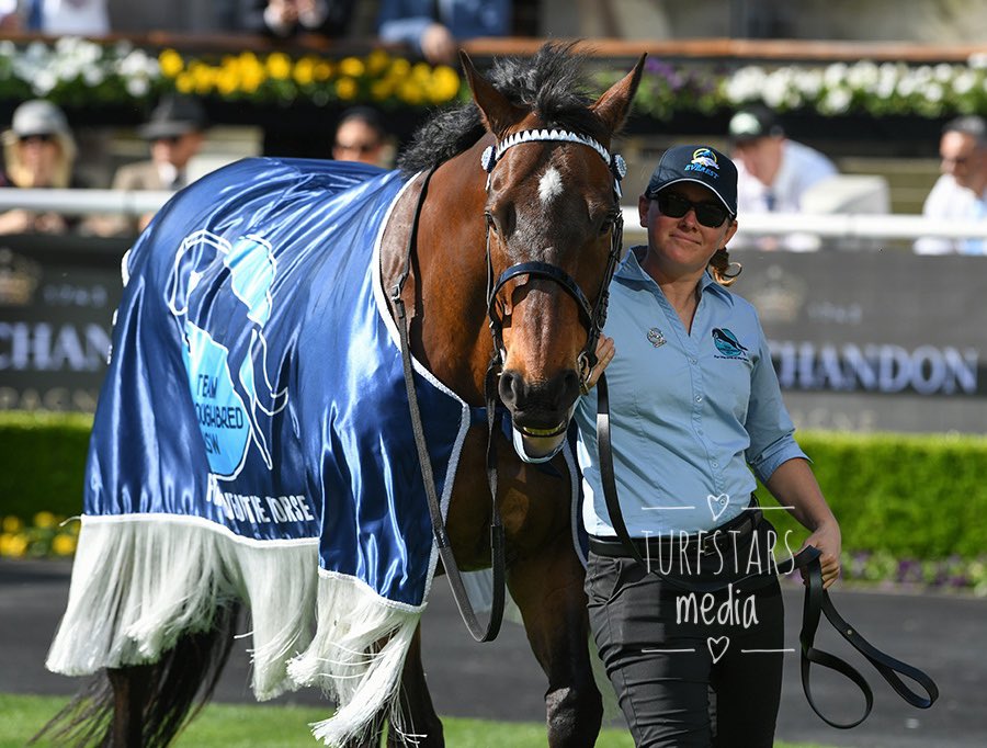 LisaGrimm9's tweet image. On #FlashbackFriday we’ll rewind ⏪ to #tabeverest day last week when dual winner of the race the mighty #REDZEL led the field out in the Theatre Of The Horse ! 
The first photo in the background is Think About It who went onto win the race !
Looking well big boy 👌🏼