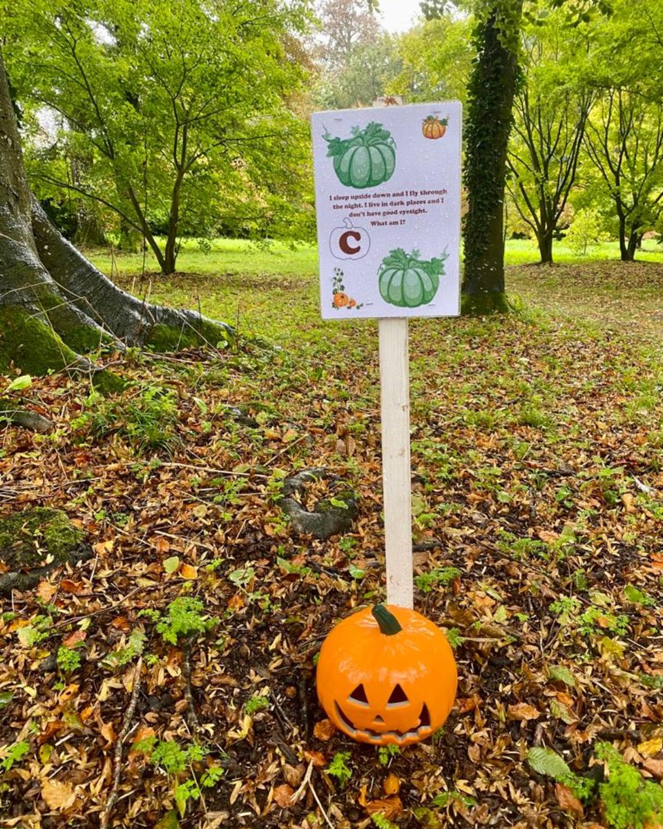 🍁 🍁 🍁 Our Family Fun Pumpkin Trail is up & running in the gardens. Follow the trail, solving clues and pick up a prize at the Visitor Entrance on your way home.🍁 🍁 🍁