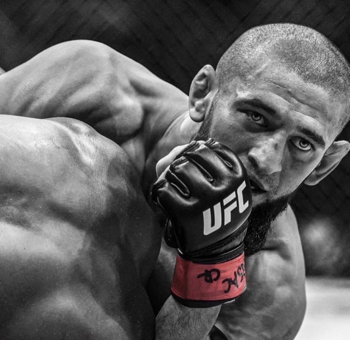 La Team Khamzat Chimaev, montrez vous.