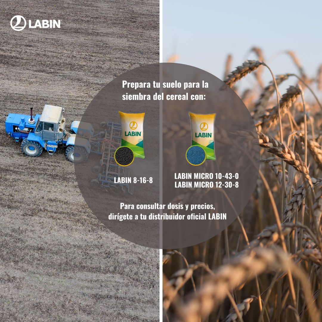 Prepara tu suelo para la siembra del cereal 👌🌾

#labin #solucioneslabin #cereal