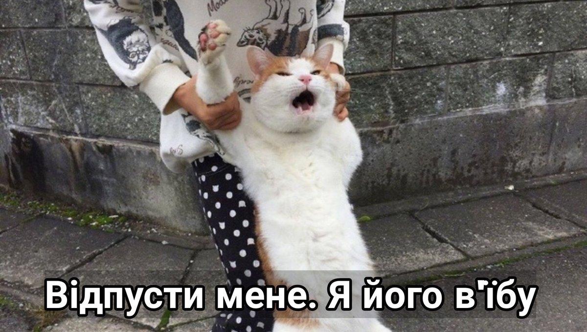 весна прийде - саджати будемо tweet media