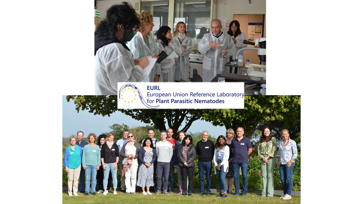 EURL for plant parasitic nematodes tweet media