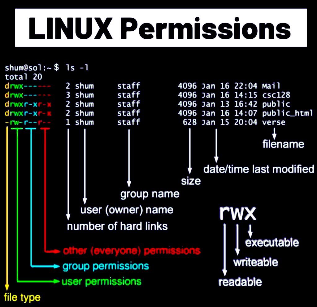Linux Permissions
