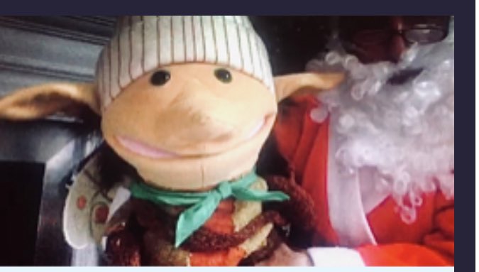 Bertie and Boo tweet media