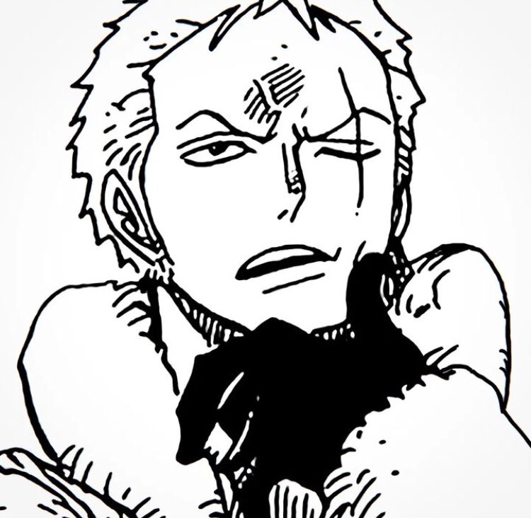 daily_zoro's tweet image. 🤔