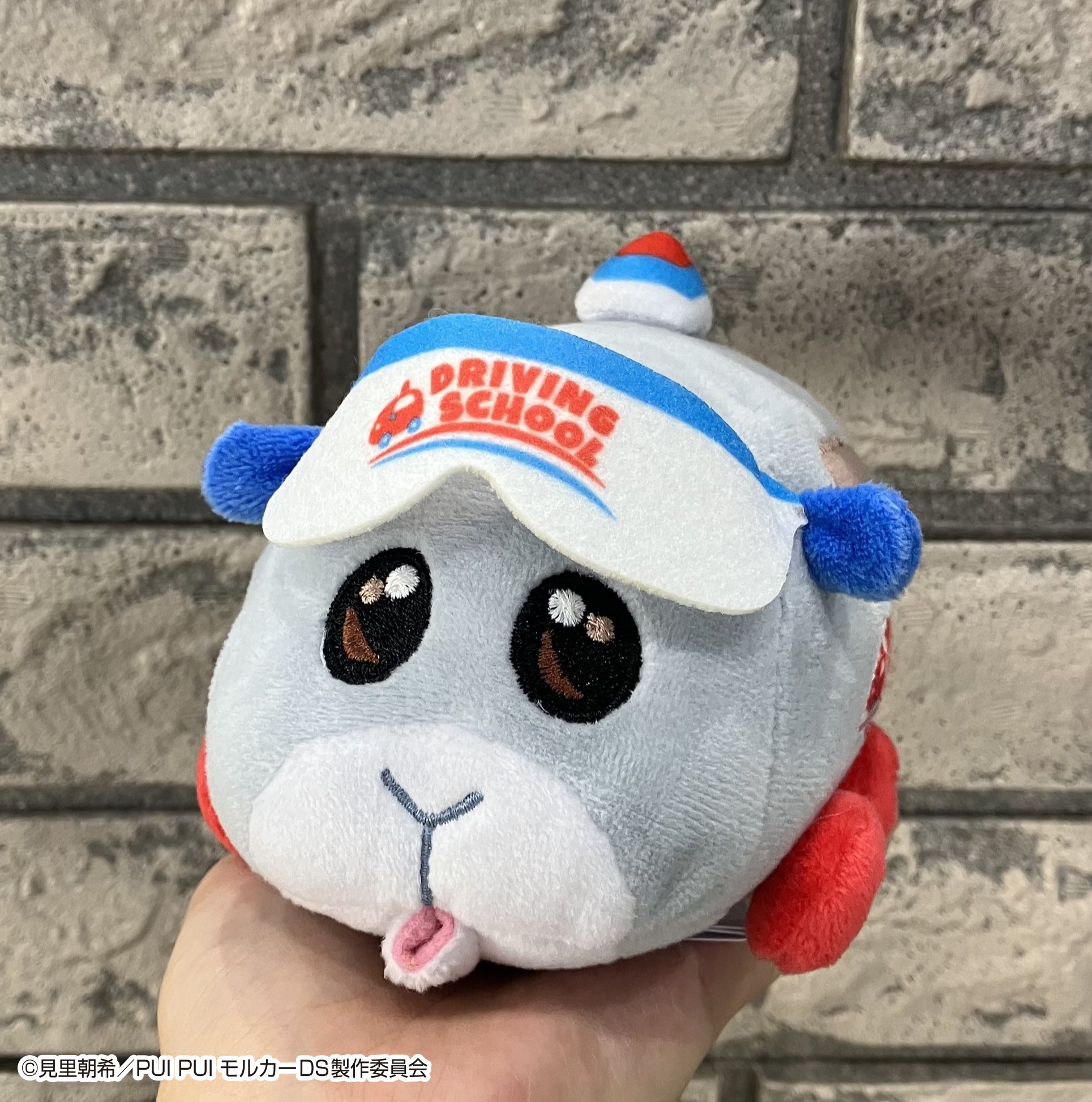 モルカー！その3 Amazon.co.jp: 【3.教習ローズ】 PUI PUI モルカー コロコロ