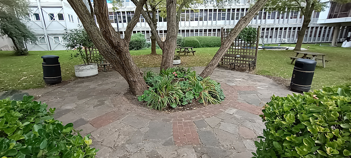 With Storm Babet coming, we had an intensive clean up in the Northwick Park Hospital Garden on Wednesday.  Once the storm goes through, there is bound to be much more to do!