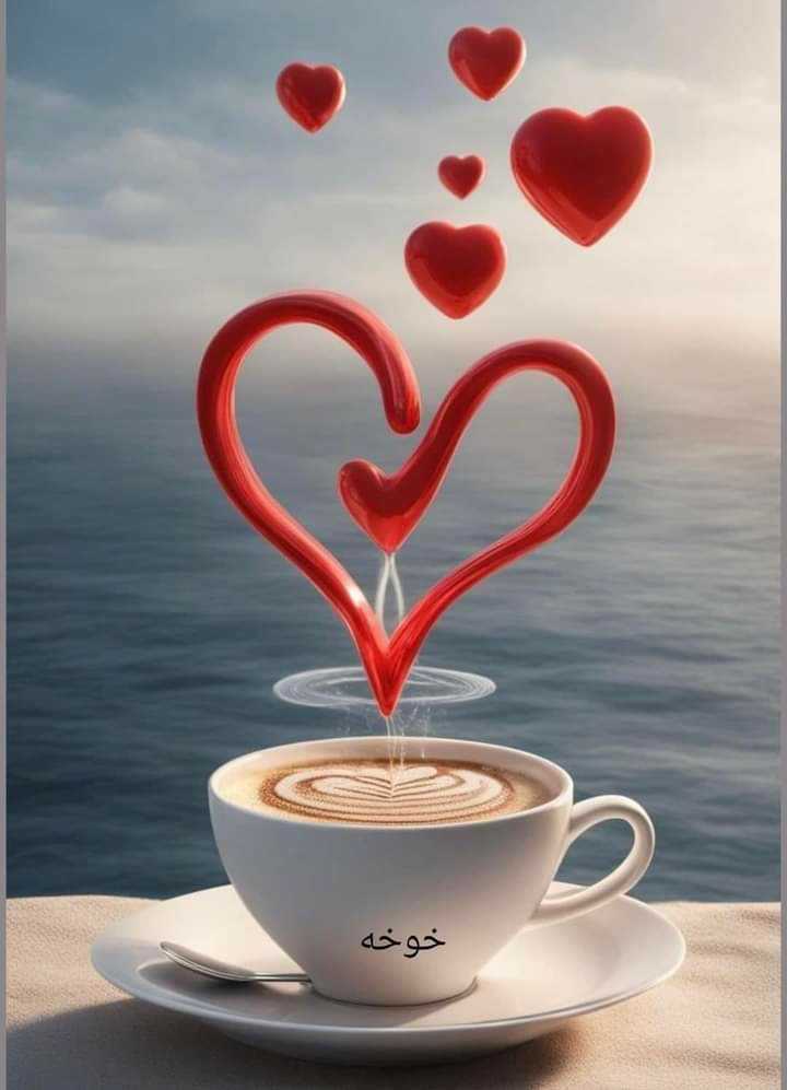 rose_mo54809's tweet photo. @manal5289 https://t.co/t4HSMBJkqD