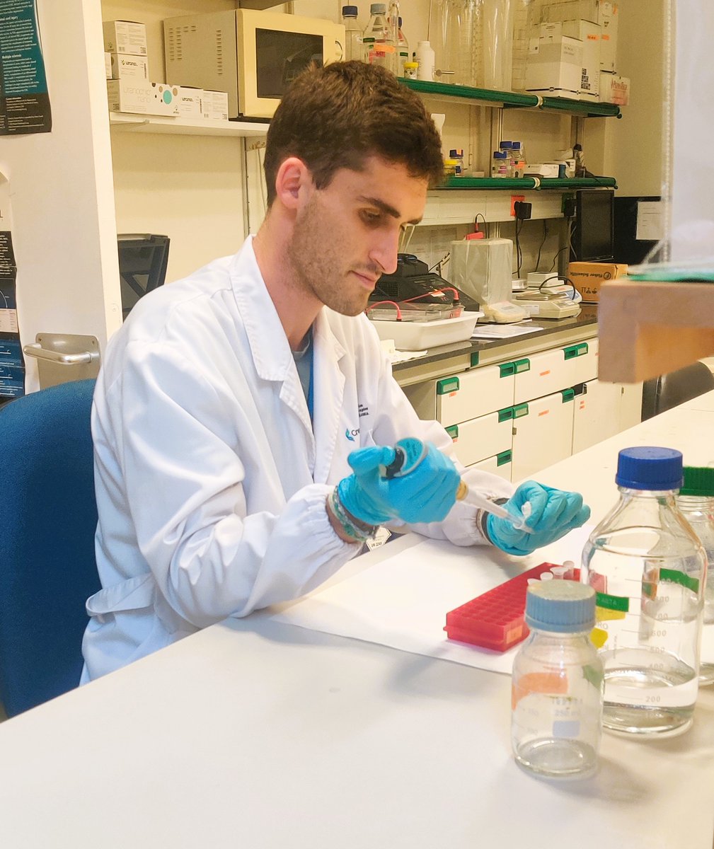 We are happy to announce ✨✨ @MarcEstarellas has received an #FPU grant - @UniversidadGob to do his PhD thesis in our lab! He will be working to develop a #cellulartherapy for #Huntingtonsdisease.
Stay tuned to learn more about his research.
@UniBarcelona #Unibarcelona #ATMPs