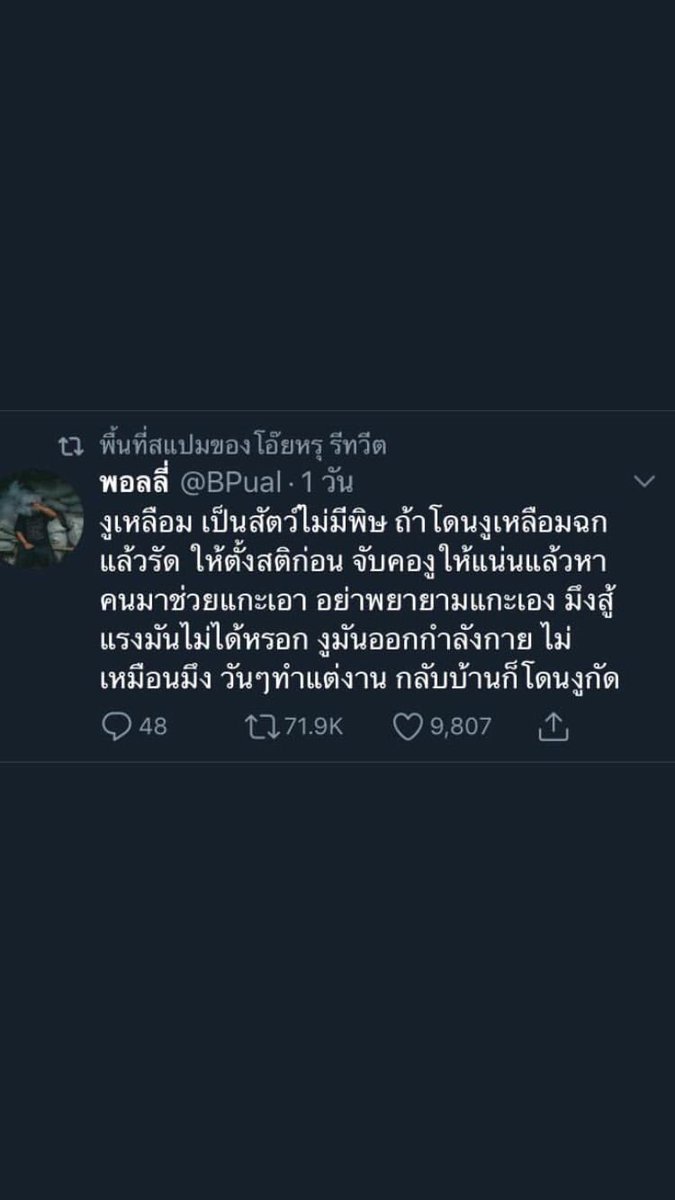 เรเว่น 𓄿 🫜🚬🇵🇸🇸🇩🇲🇲🇨🇩 tweet media